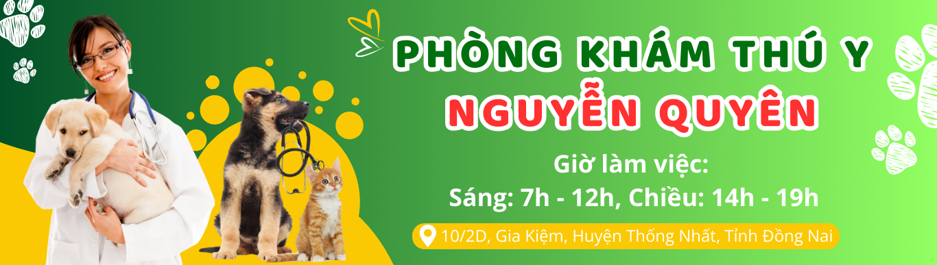 PHÒNG KHÁM THÚ Y NGUYỄN QUYÊN- THIẾT KẾ BỞI MR TÀI: 0789711496