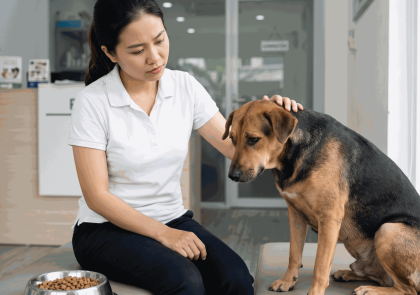 PHÒNG KHÁM THÚ Y NGUYỄN QUYÊN- THIẾT KẾ BỞI MR TÀI: 0789711496