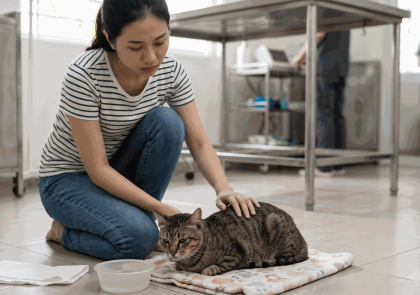 PHÒNG KHÁM THÚ Y NGUYỄN QUYÊN- THIẾT KẾ BỞI MR TÀI: 0789711496