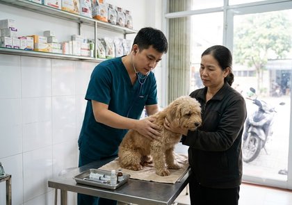 PHÒNG KHÁM THÚ Y NGUYỄN QUYÊN- THIẾT KẾ BỞI MR TÀI: 0789711496